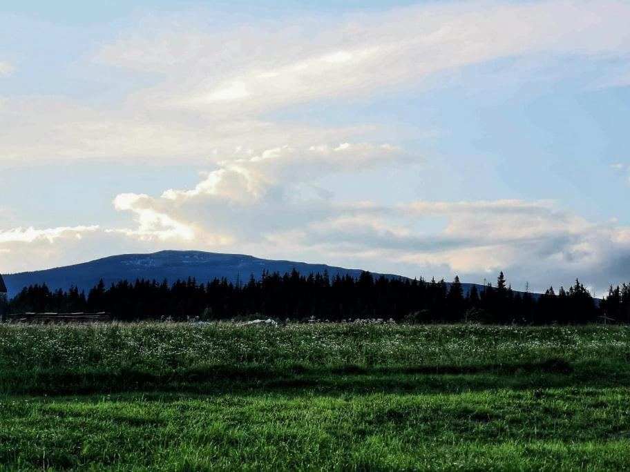 Lipnica Wielka Pokoje U Kasi I Marcinaヴィラ エクステリア 写真