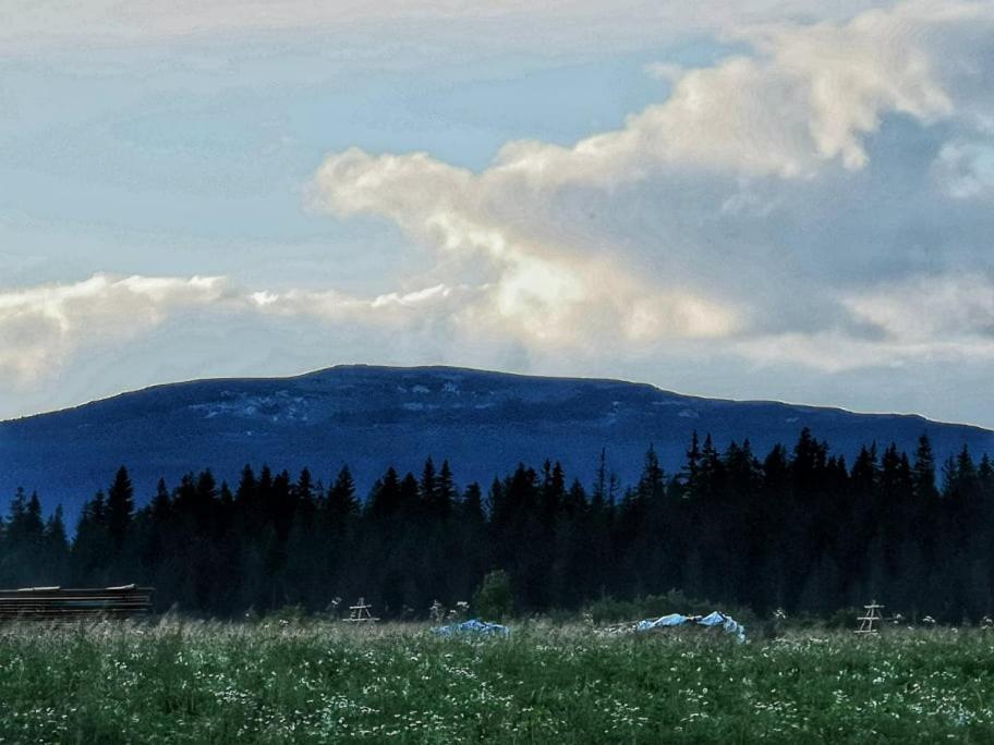 Lipnica Wielka Pokoje U Kasi I Marcinaヴィラ エクステリア 写真